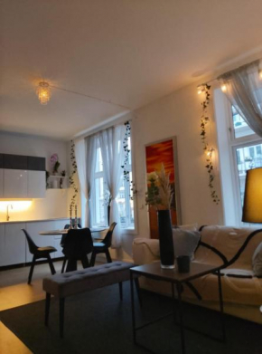FULL APARTMENT CENTRAL OSLO SOHO area